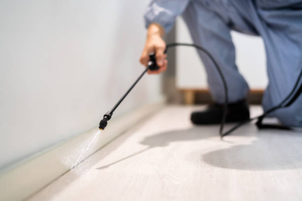 Bed Bug Pre-Treatment Preparation Assessment in Lovelock
