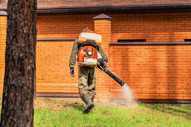 Bed Bug Clearance Verification and Documentation in Lovelock